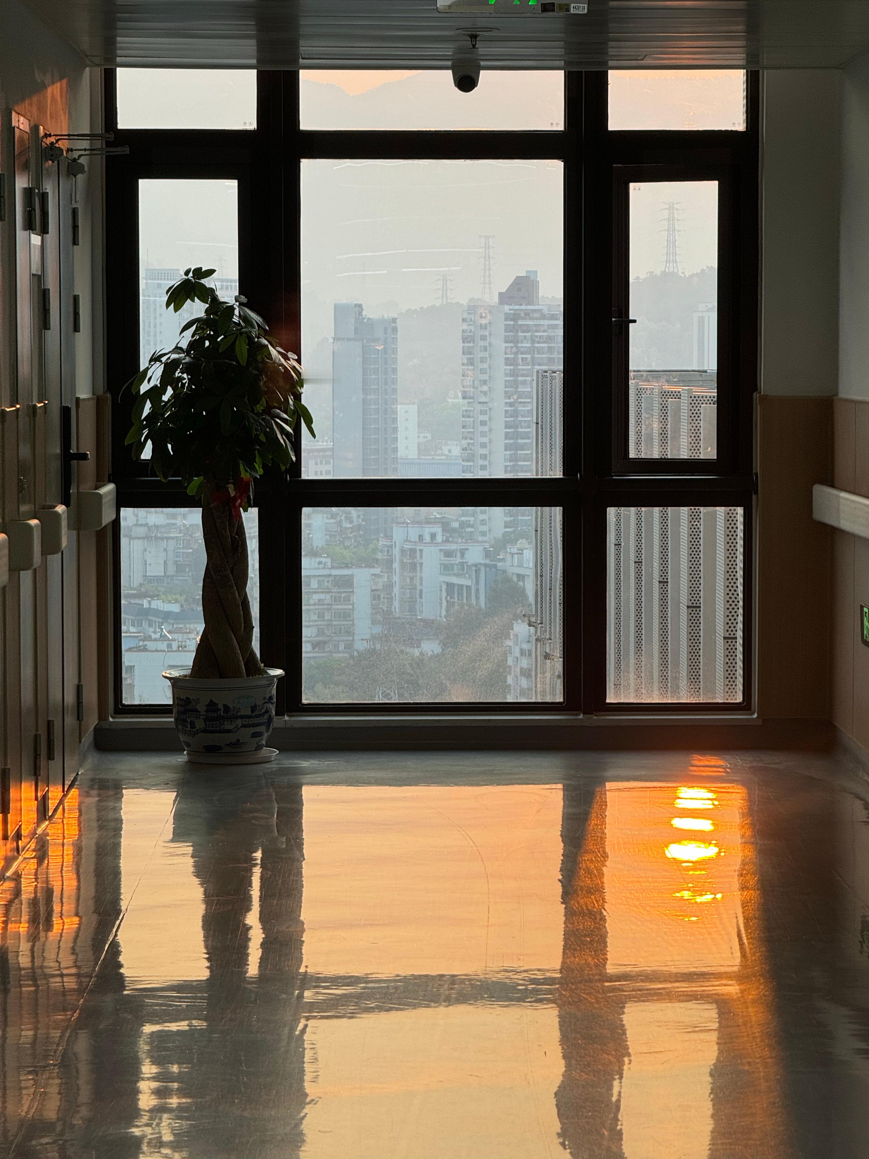 那日日出🌅那日日落🌄·······plog日记日常碎片plog ​​​