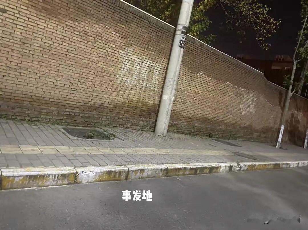 西安一男子闹市街头强制猥亵女性 被害女子：咬破他的嘴反抗，才没得逞

 晚上9点