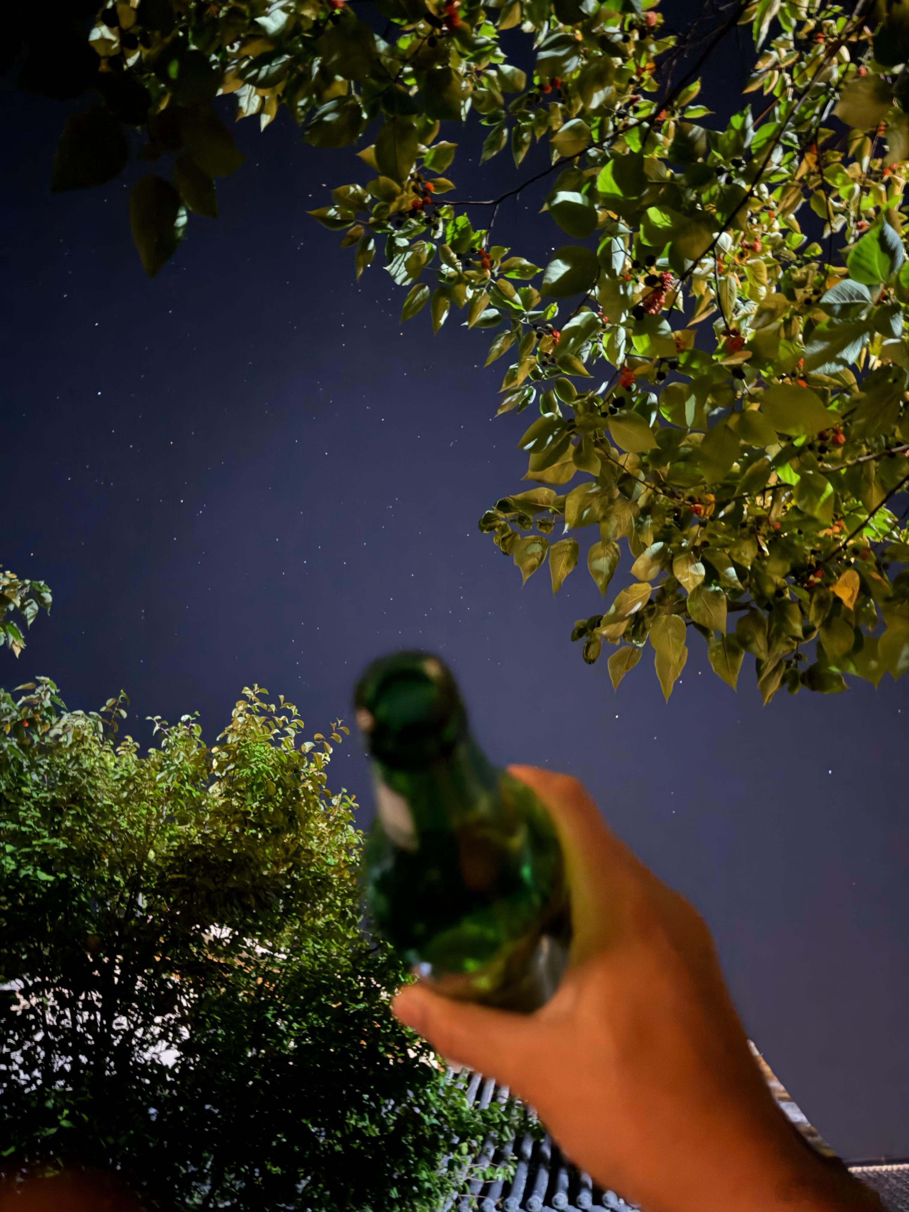 把酒问青天 洛阳·红庙村