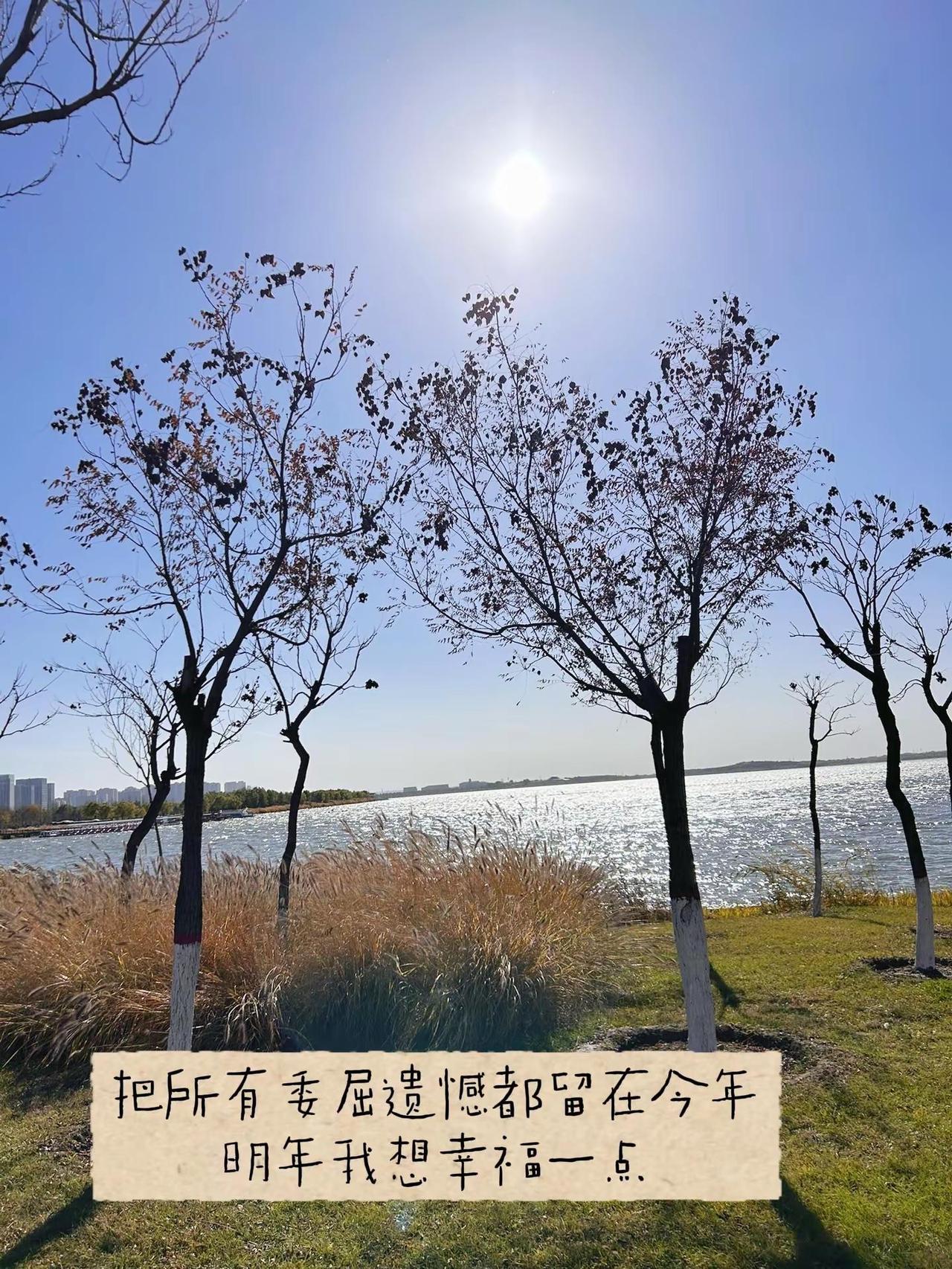 把所有委屈遗憾都留在今年，明年我想幸福一点