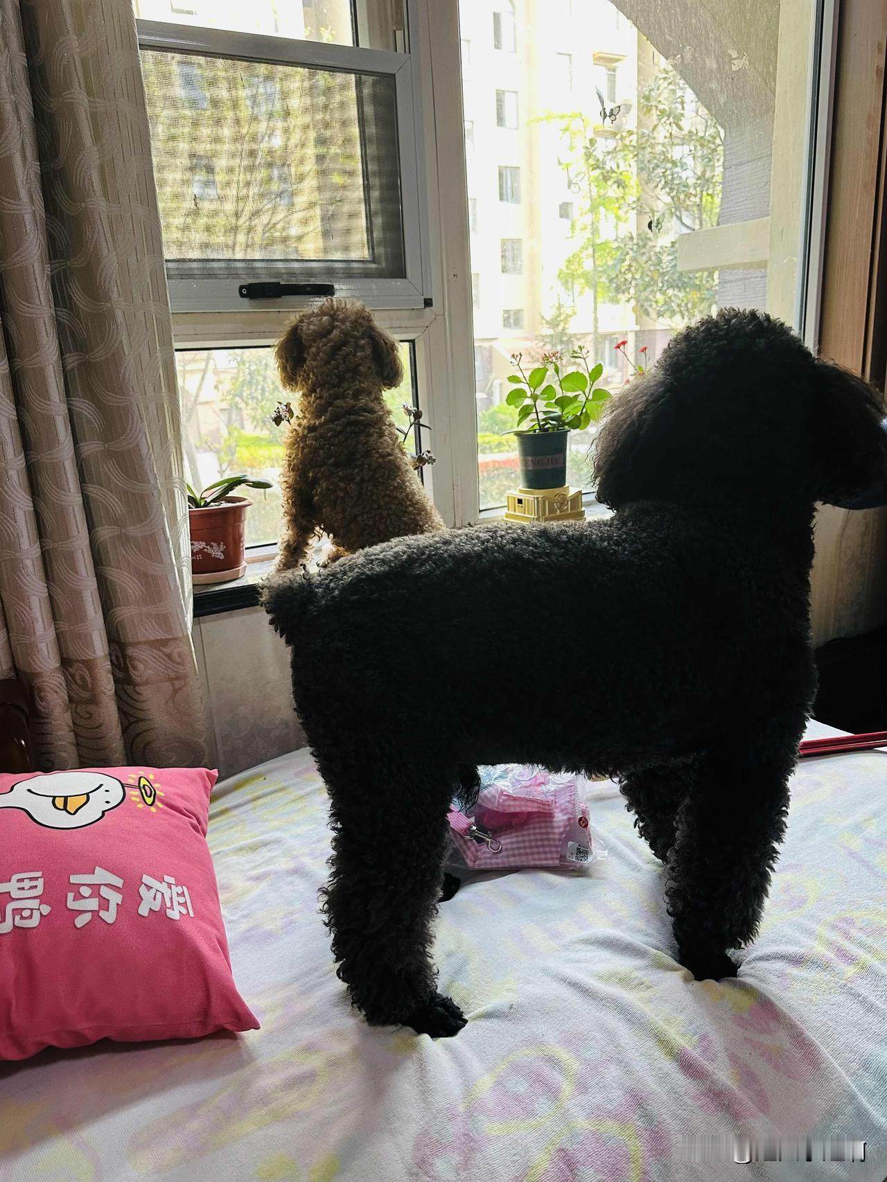 哈哈哈哈笑死我了😆
俺爹问我：“闺女我问你个事，按理说我真不应该问你，但是我不