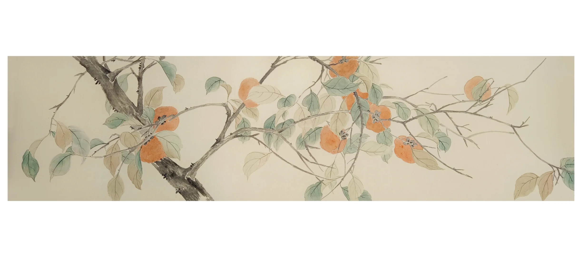 国画‖没骨画柿子，柿柿如意