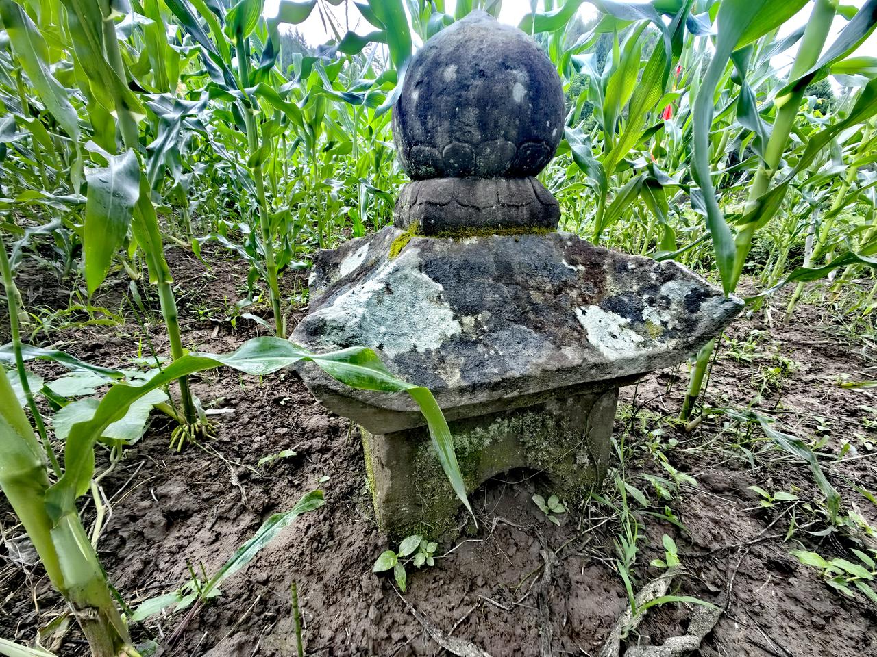 寻找字库塔:附近人介绍白水镇快活村学堂湾有石塔[呲牙][呲牙][呲牙]