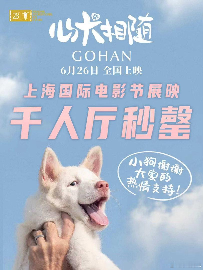 电影心犬相随定档 电影《心犬相随》上影节千人展映场开票秒空！《姥姥的外孙》《天才