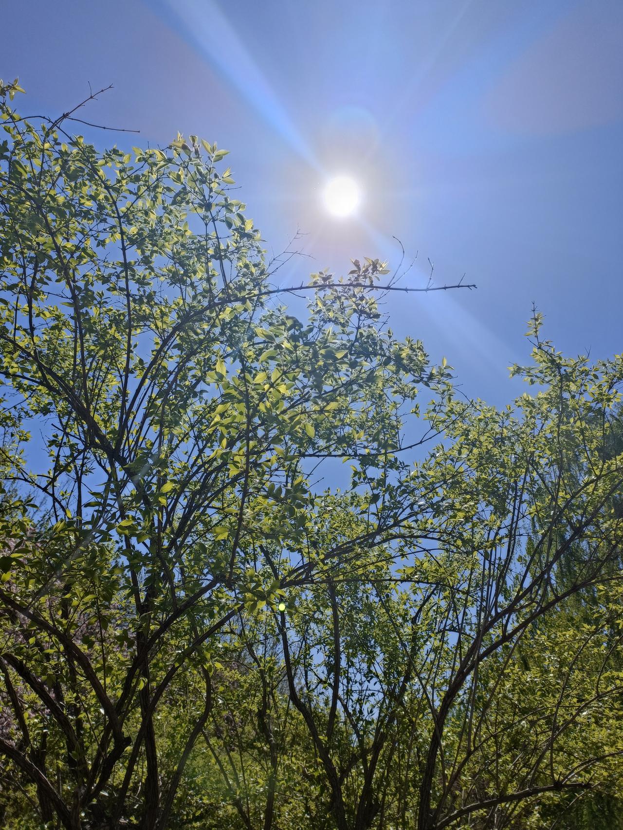 怎样给生活注入能量? 给生活注入能量，方法还挺多。心态上，别瞎内耗，少抱怨纠结，
