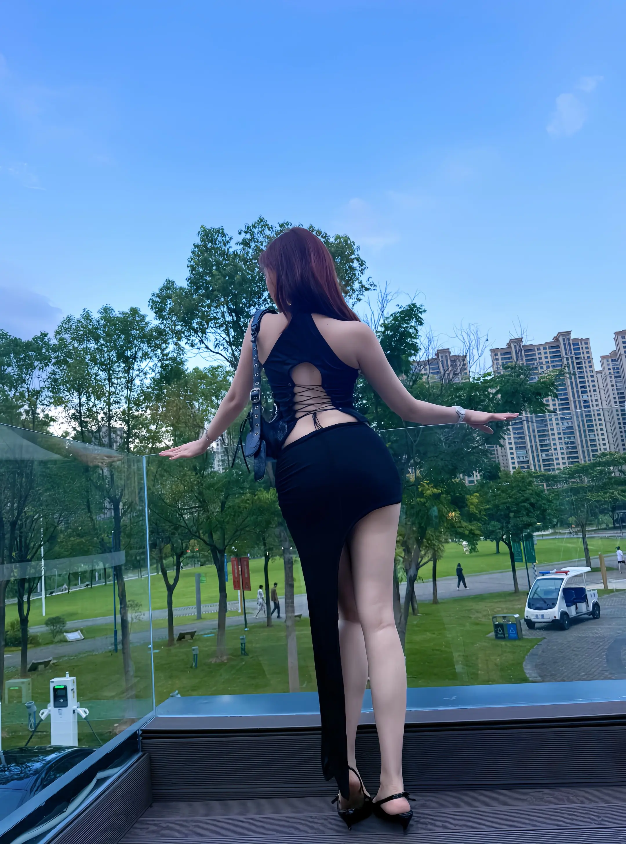 小狗杀手