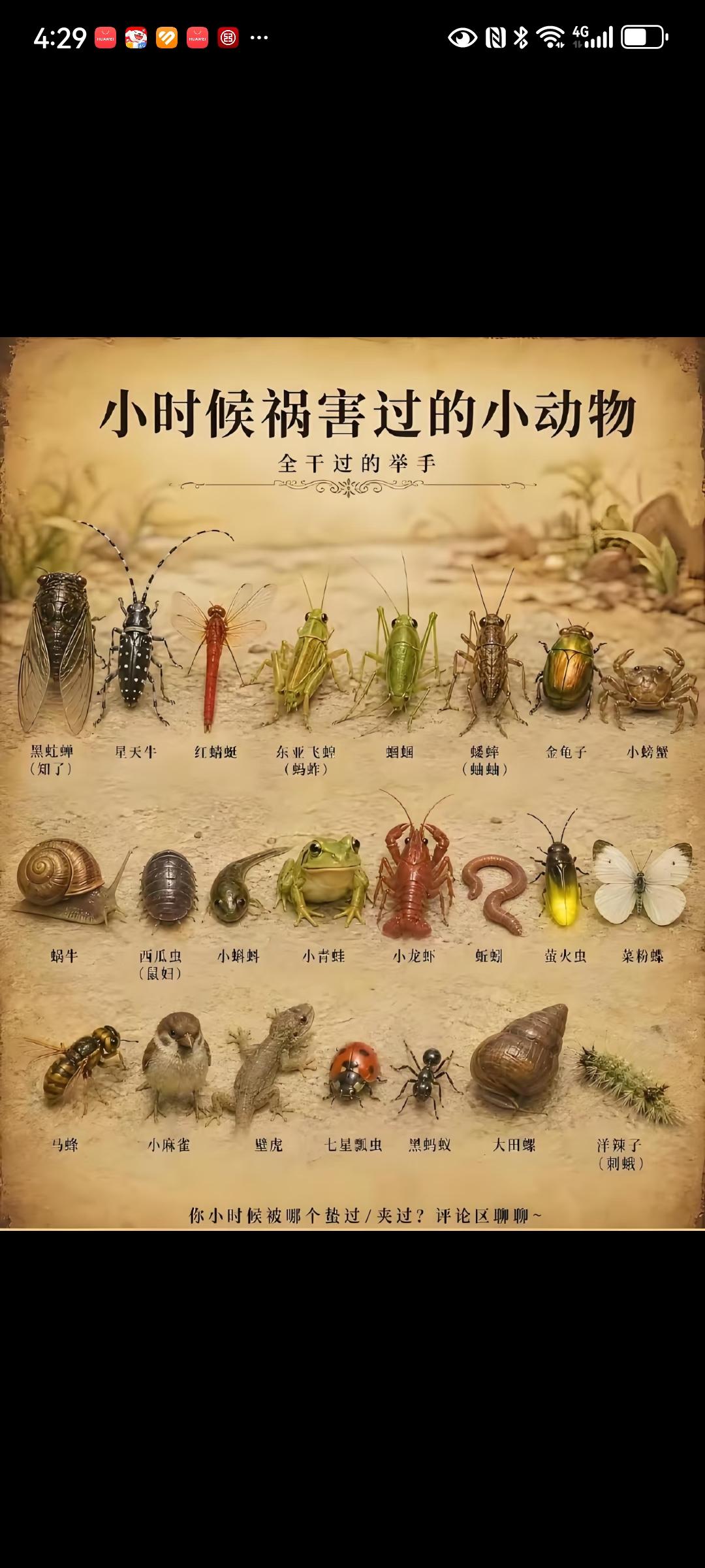 小时候祸害过的小动物
小龙虾小时候没见过，东北不知道有没有。小时候常见的萤火虫现