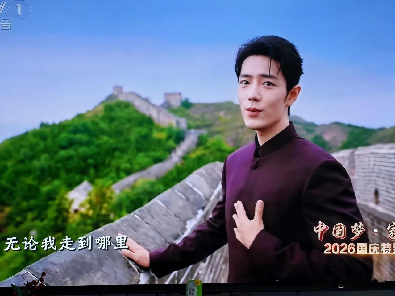 央视国庆特别晚会，肖战压轴出场。先是王凯气势磅礴的诗朗诵，然后肖战登台。一身酱紫