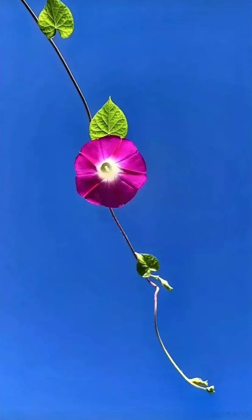 确诊了乳腺癌，一定要问医生八个问题，让你的治疗少走弯路第一，得的是哪种类型的乳腺
