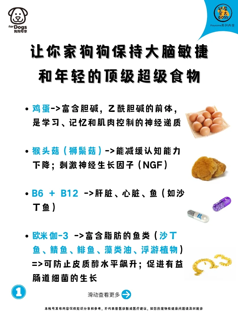 让狗狗保持大脑敏捷和年轻的顶级超级食物