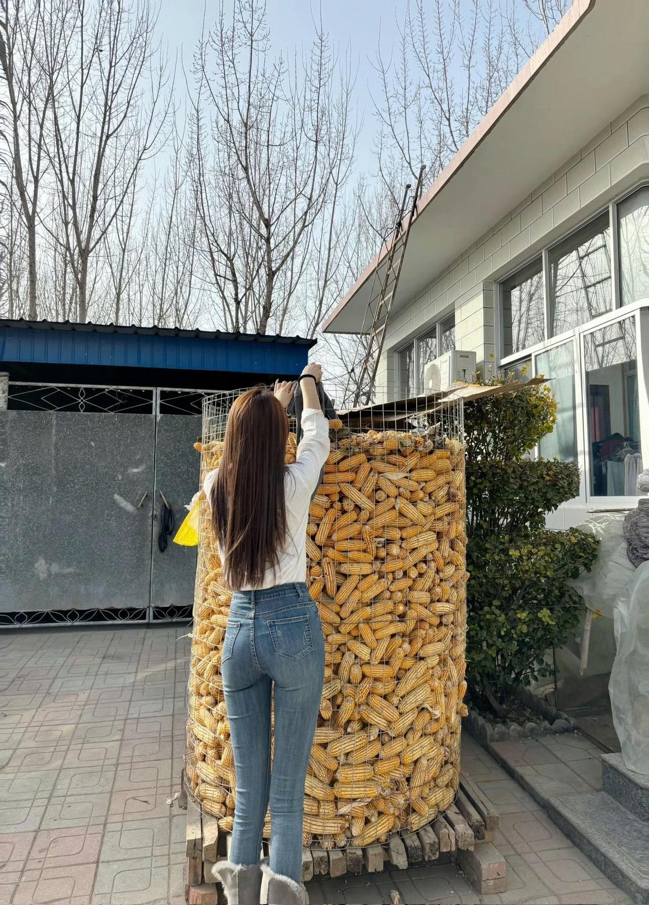 未婚女人不容易[捂脸]，工作日去城里上班，假期回老家剥玉米，还要接受七大姑八大姨