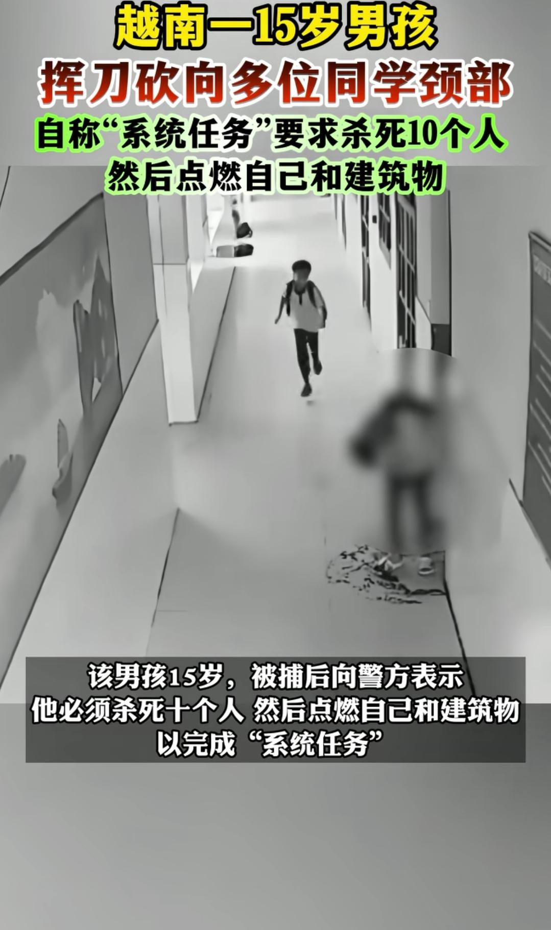 越南一个15岁男孩为完成系统任务，砍伤多名同学。
这个男孩被捕后说，系统任务是杀