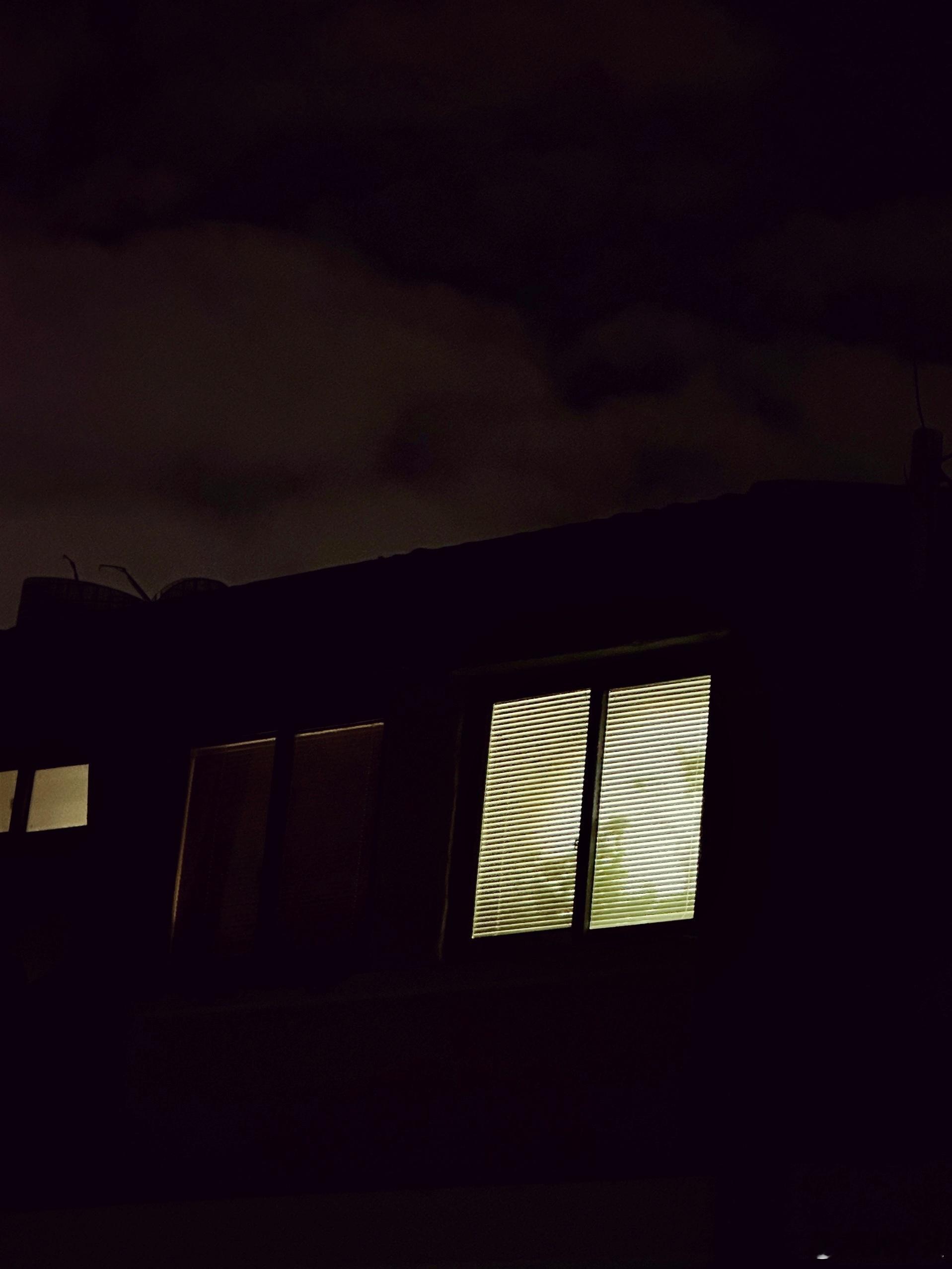 弄堂对面两扇窗子，灯影、树影，望着怪好看的。快新年了。今天也将家里玻璃窗擦干净。