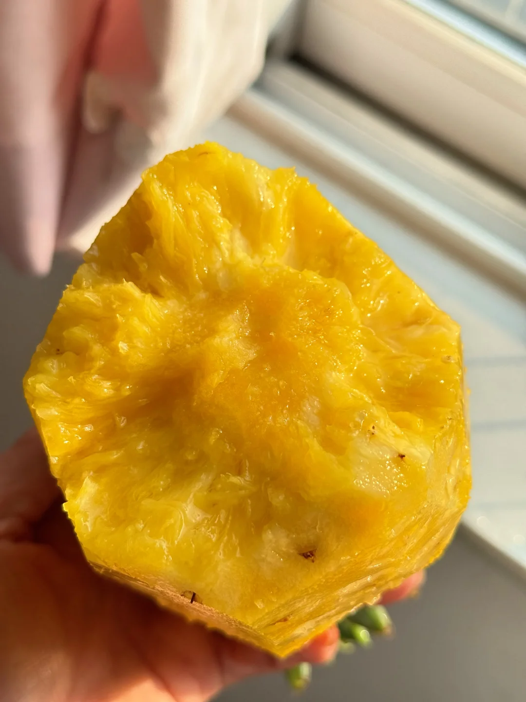 吃菠萝是体会不到装种削皮就开啃的快乐的！