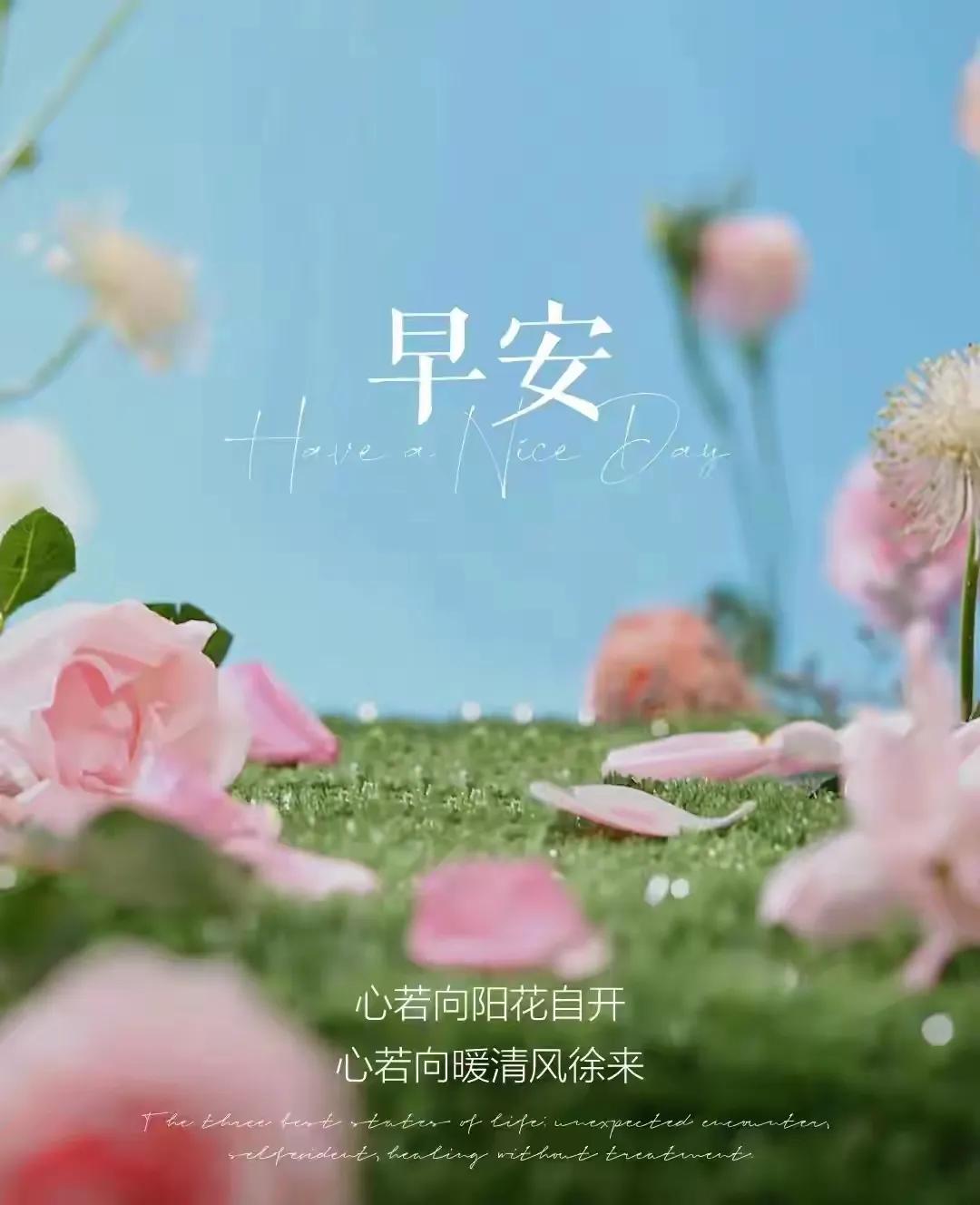 你的人生，已步入什么样的季节。。。。
人的一生，恰如一年四季，花开花落；阴晴圆缺