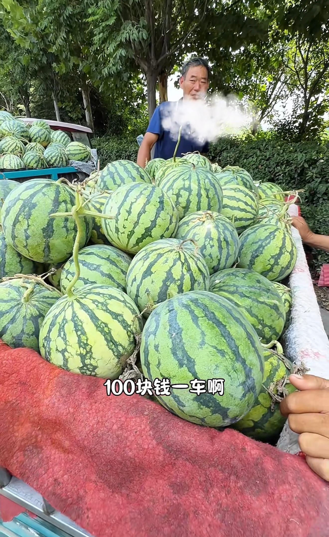 不是，这是哪的西瓜🍉，那么便宜！！！瓜农卖不出去，我们吃不起，超市一个大几十块