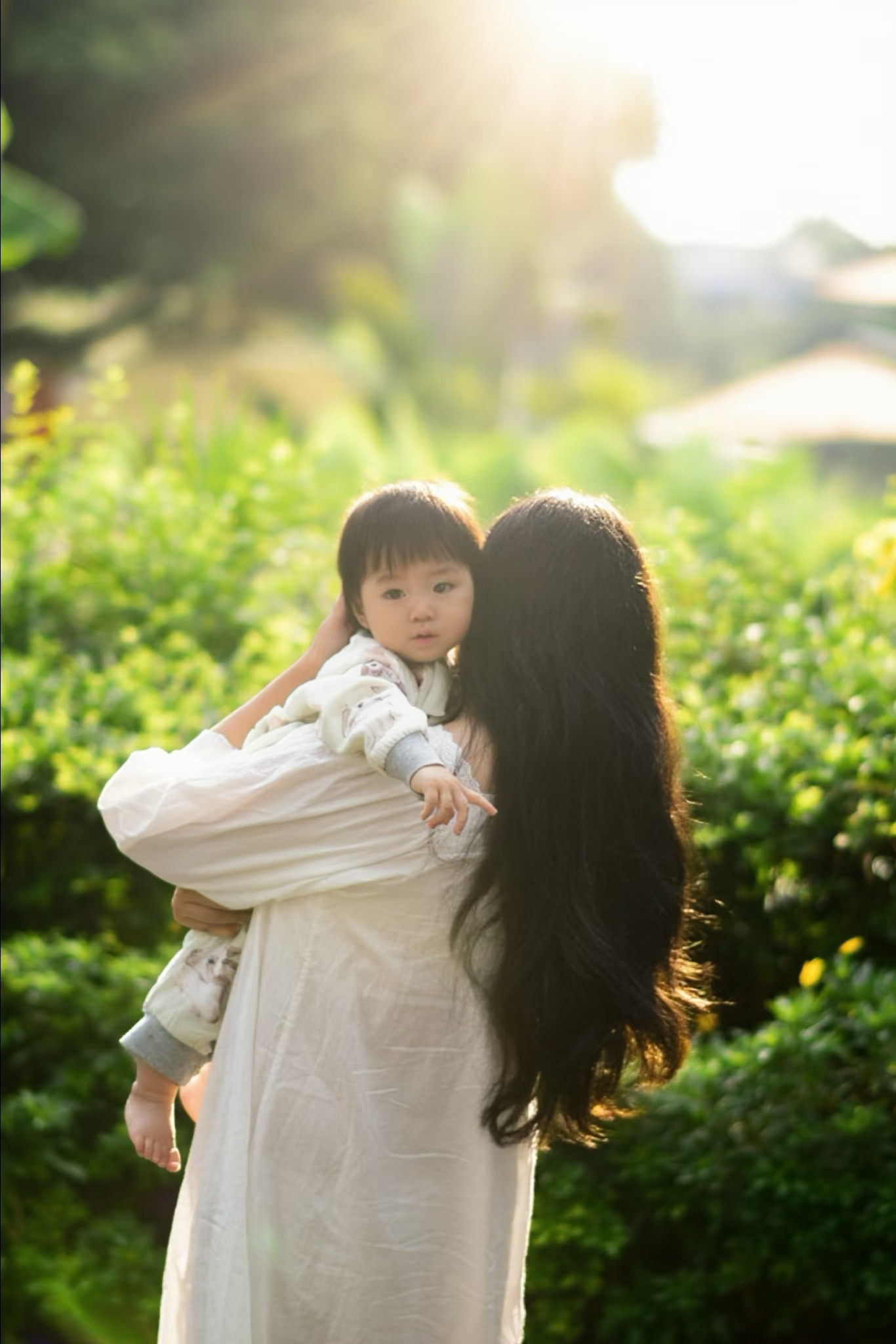 今天的阳光，是给你的光☀️幸福具像化的清晨