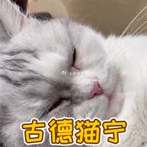 早安 宝宝 最近过的好吗 睡眠怎么样 有好好吃饭和护肤吗 还会焦虑和内耗吗 ​​