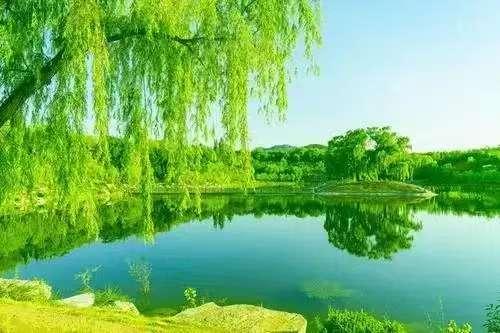 笑看人生百态，闲观云卷云舒。
     一程雨，一程忧，轻叹世间几多愁，旧忆如潮