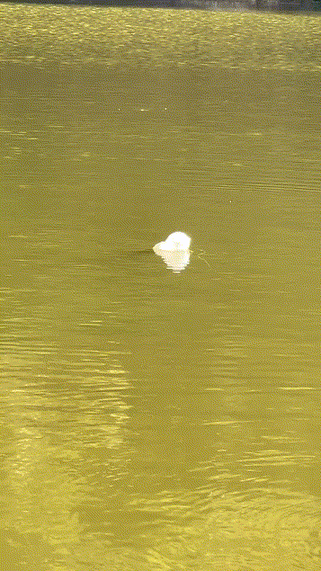 卧底上钩，请求收网[笑哭][笑哭][笑哭]