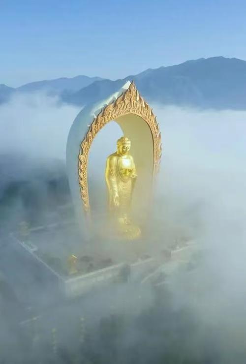 蓮花化生，出污泥而不染。