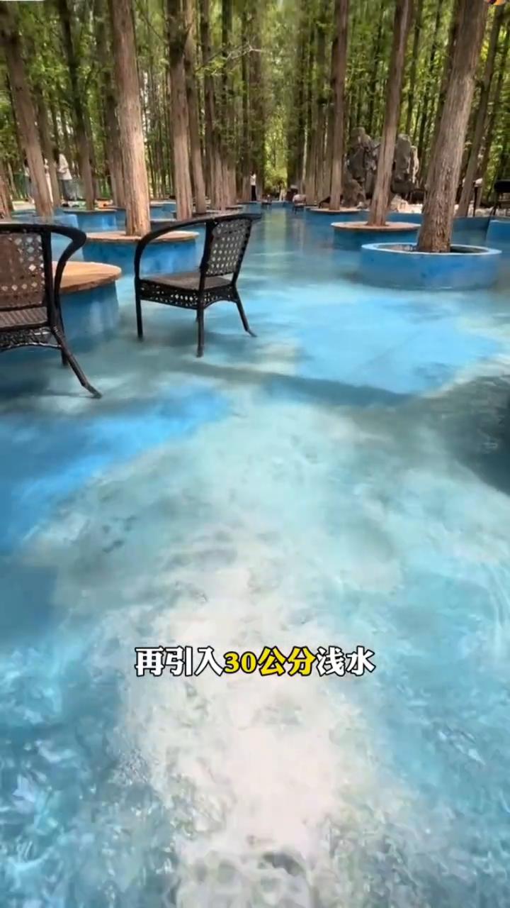 林间水上乐园引爆夏季客流。
这个老板太聪明了，利用水杉林打造林间水上乐园，吸引大