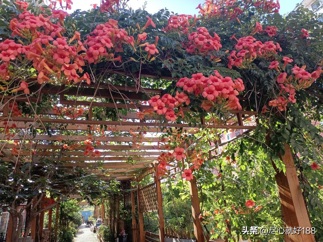 昨天下午，过去的邻居给妈妈打电话，妈妈本来躺着，我赶紧给妈妈扶起来，毕竟躺着，妈