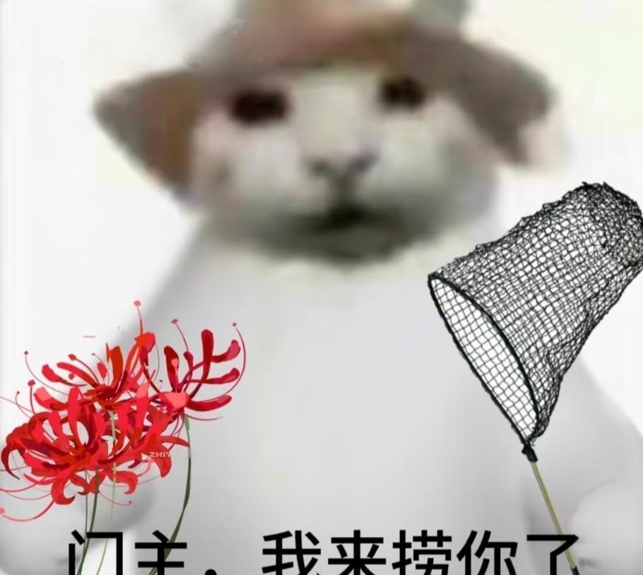 门主我来辣
梗图