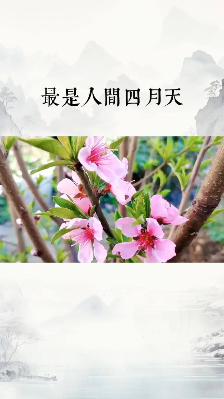 四月天，是诗意的赞颂还是都市情感的隐喻？
“最是人间四月天”这一经典诗句，源自诗