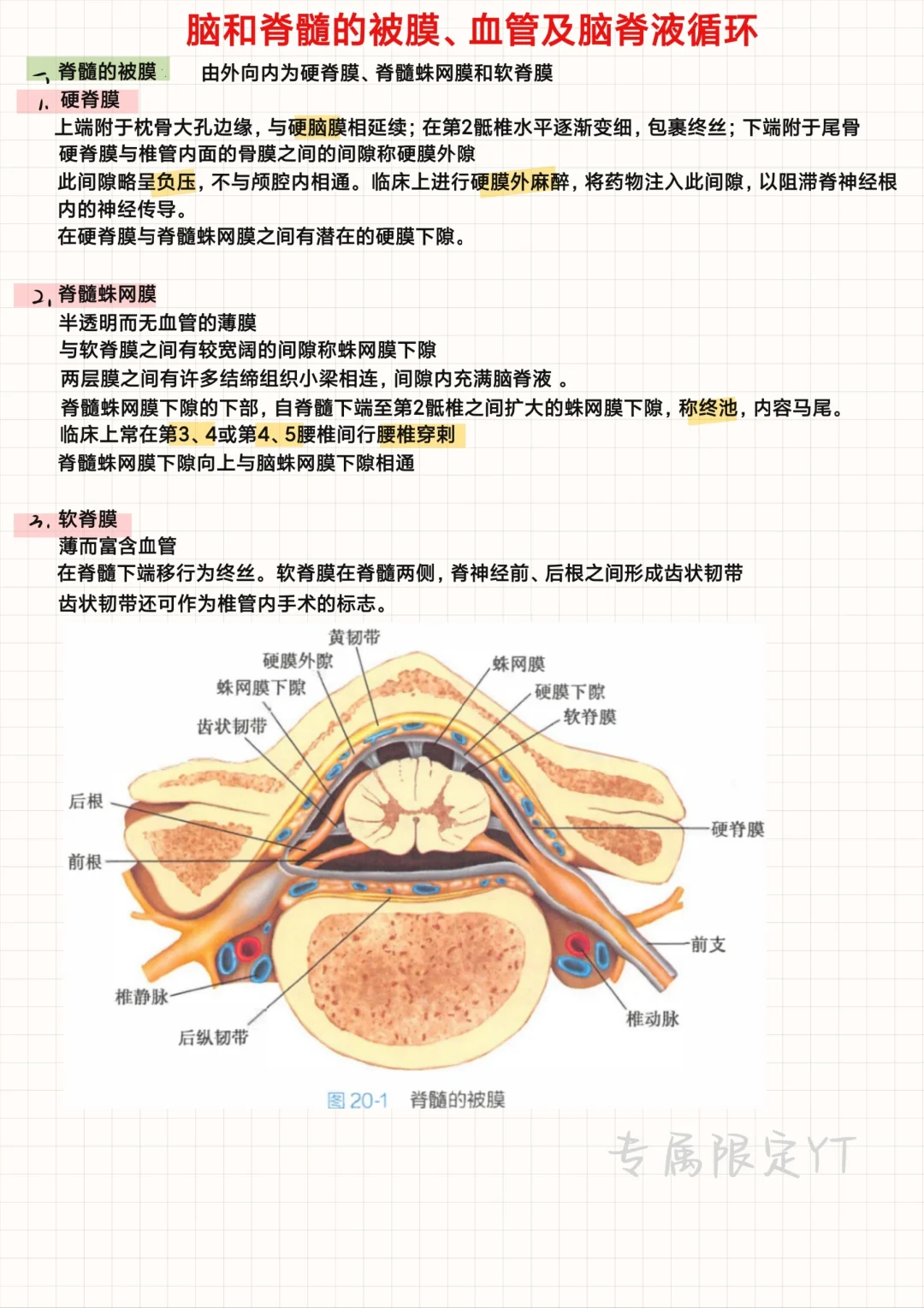 系统解剖学（19）-脑被膜及脑脊液