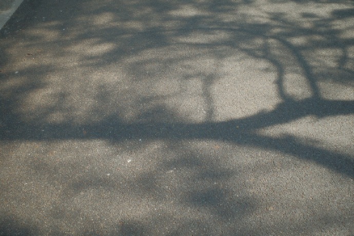 幸福与时间长存 