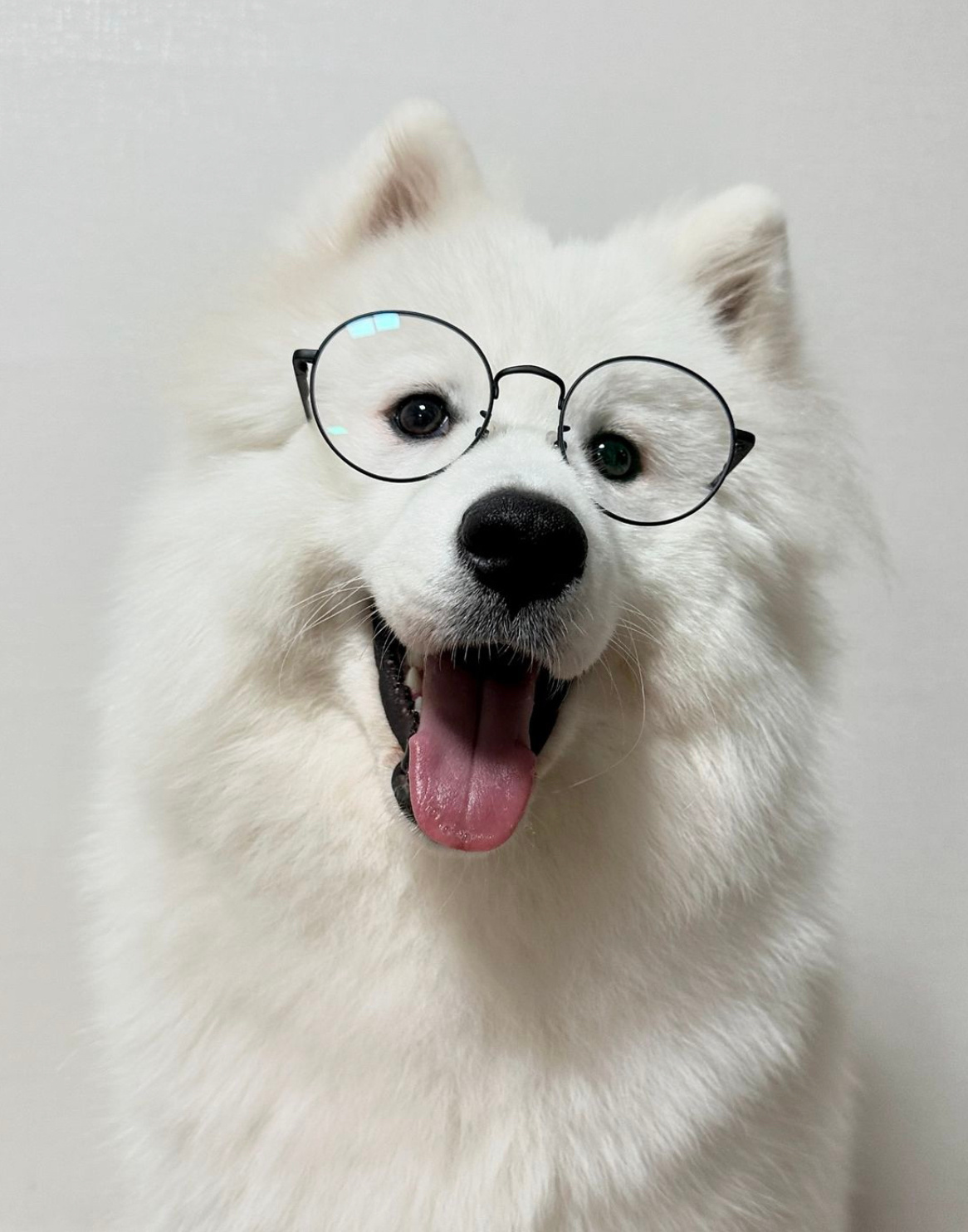 有什么不懂的都可以问耶老师，耶老师帮你去问边老师 ​​​