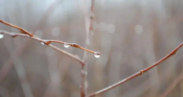 贵阳贵安下周二到周四有寒潮和雪凝
