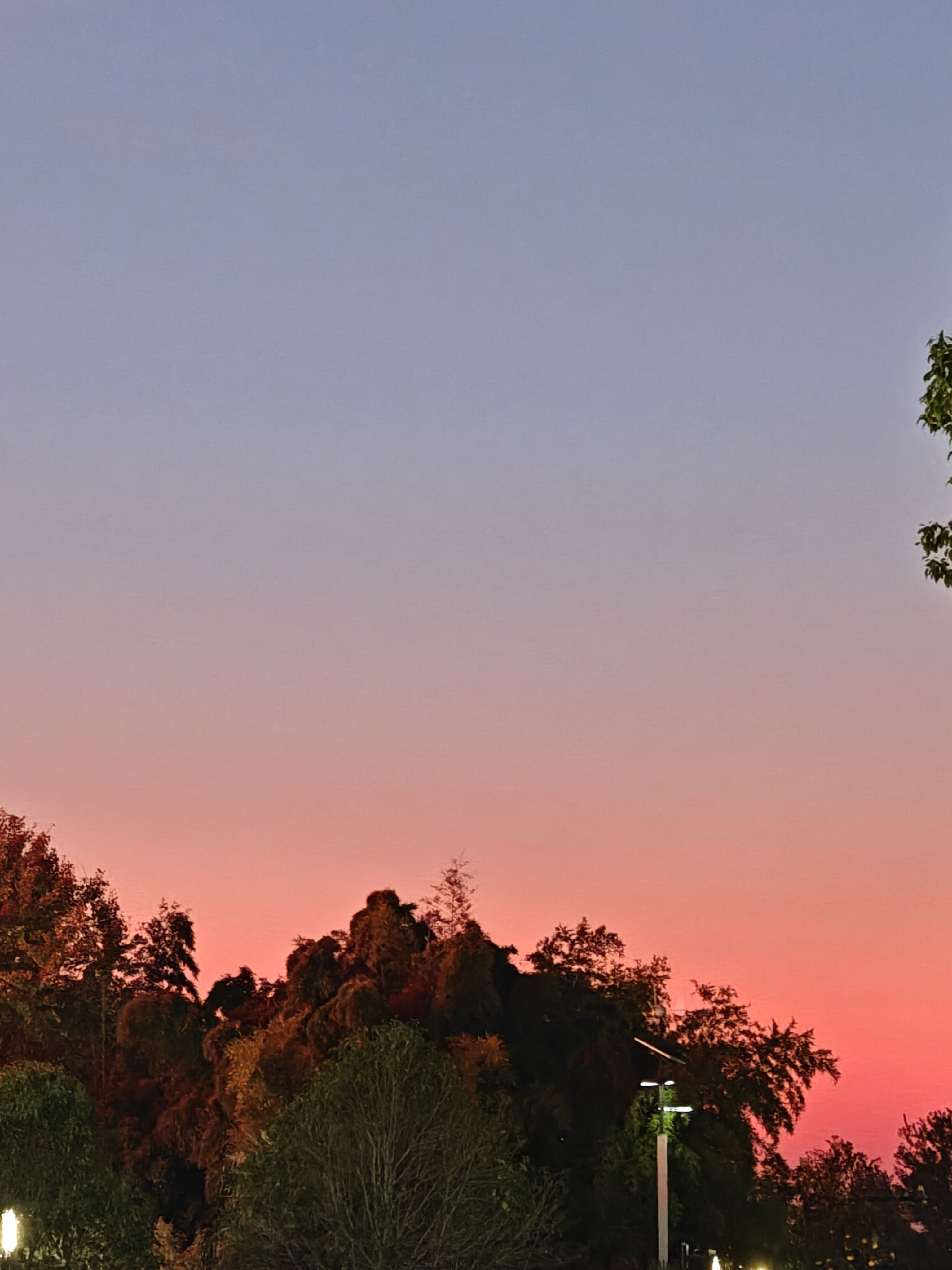 “来自暮光的明信片” 