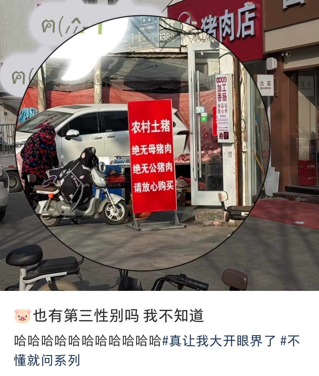 原来骟掉的🐷是第三性别 