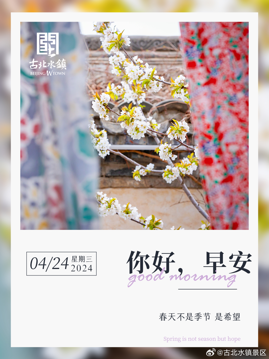 春天不是季节 是希望早安，宝子们~#古北水镇邀您赏音舞诗画江山竞秀# #古北水镇