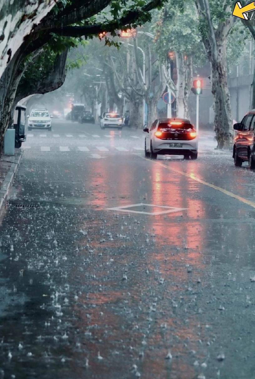 天气预报：明天郑州有大暴雨，劝大家尽量不要外出。

我们公司会不会发不上班的通知