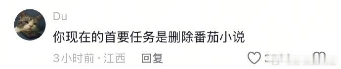你现在的首要任务是删除番茄小说🤣👌 