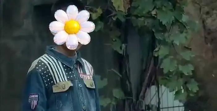 《监狱来的妈妈》这电影被深挖！
风向不对，大家都在飞速切割，汪涵就担任《监狱来的