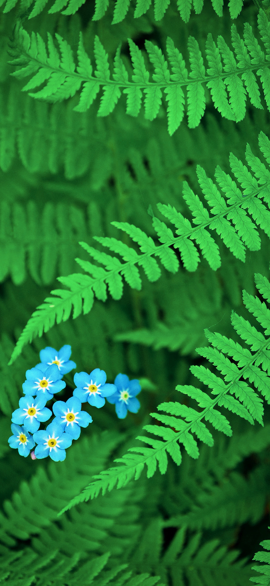 精美手机壁纸，一帧温柔，满目治愈，把美好定格成日常风景。壁纸发现手机壁纸4k壁纸