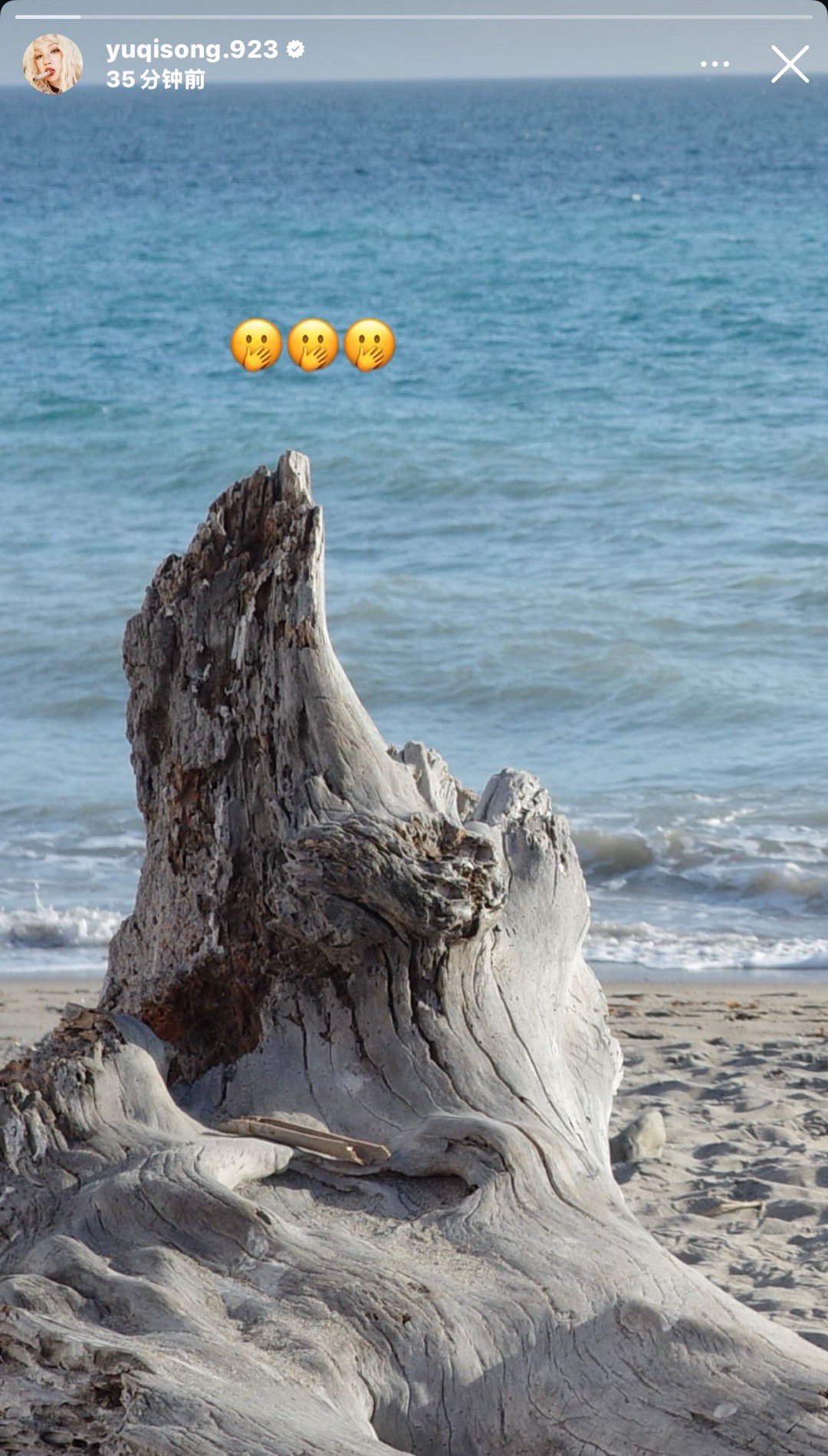 是海边大外景 有救了 