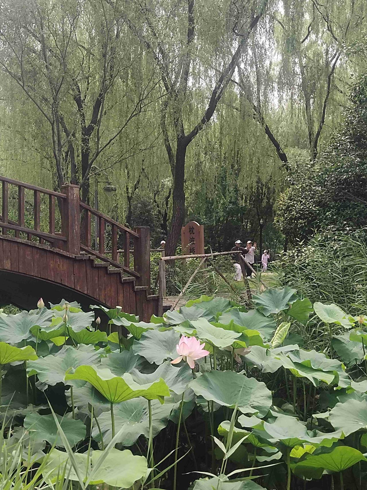 我的今日状态：😁轻松愉快
我这里的天气：☀️晴天