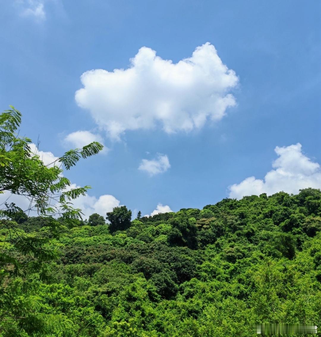 人这一生，最应该学会的，不是赚钱，也不是打扮自己。而是无论遇到多大的风雨，都有让