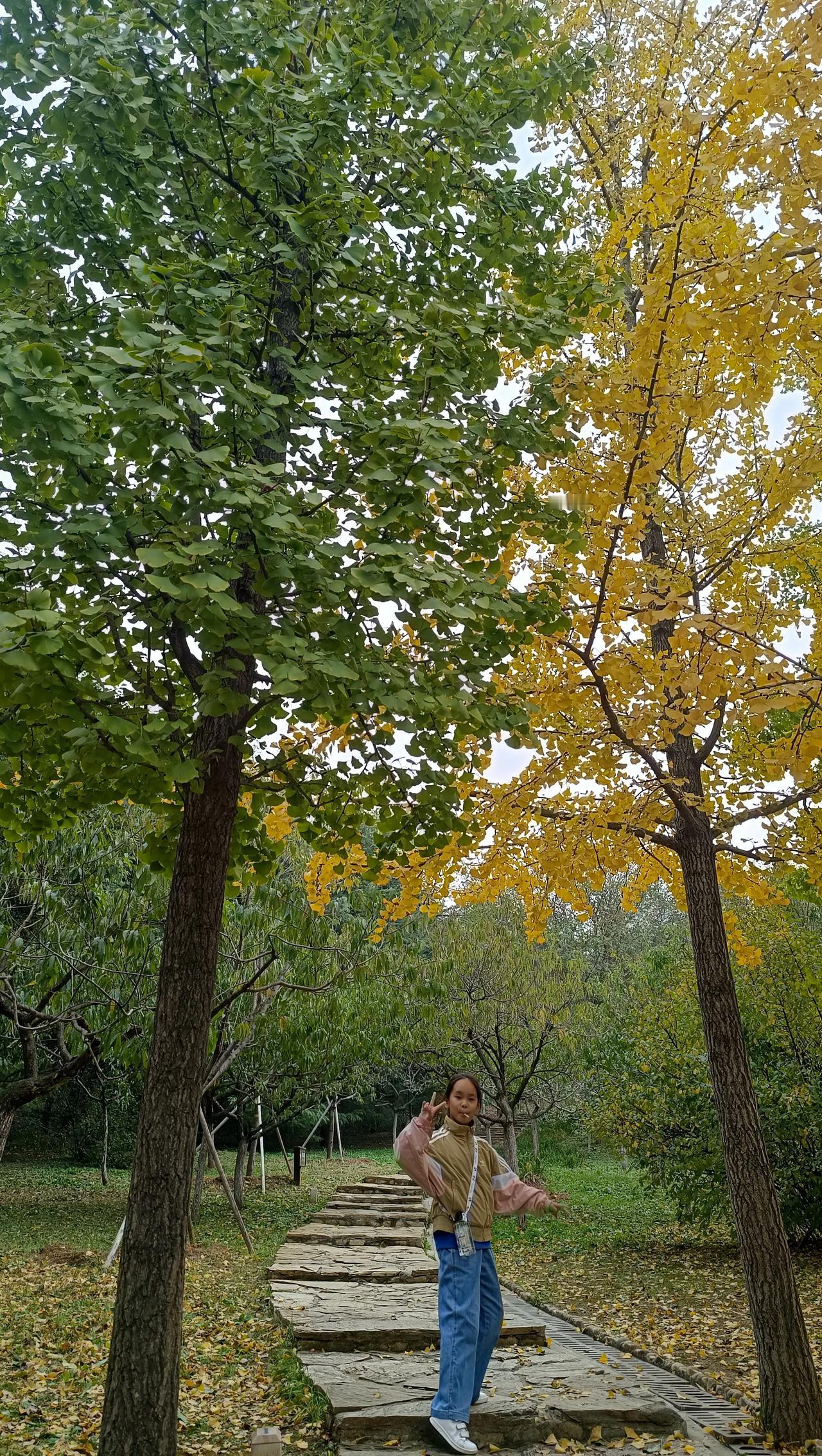 #秋日生活打卡季#
怕虫的我，整个夏天都没带Yaya去过植物园[害羞]不过也因为