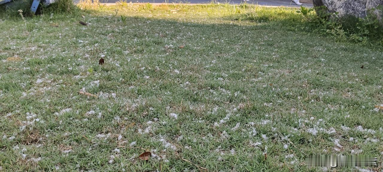 江苏中部乡村将讲故事叫做“说骗”
小时候，农村生活很是辛苦，文化生活也很单调。