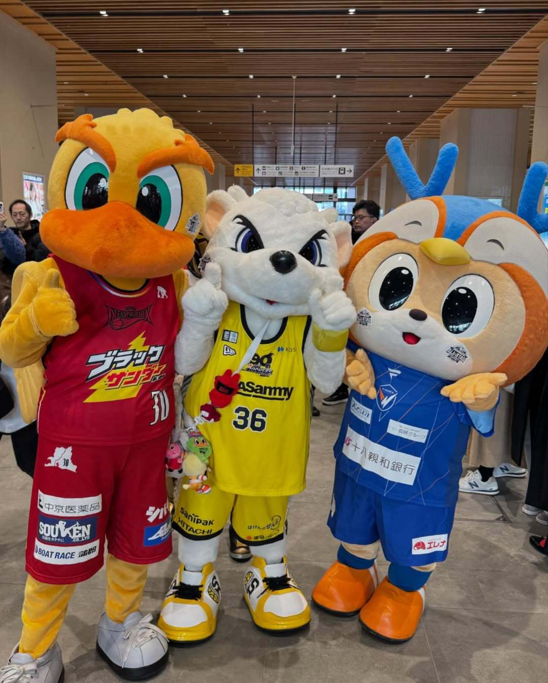 上周末VV去B联赛全明星玩了！吉祥物