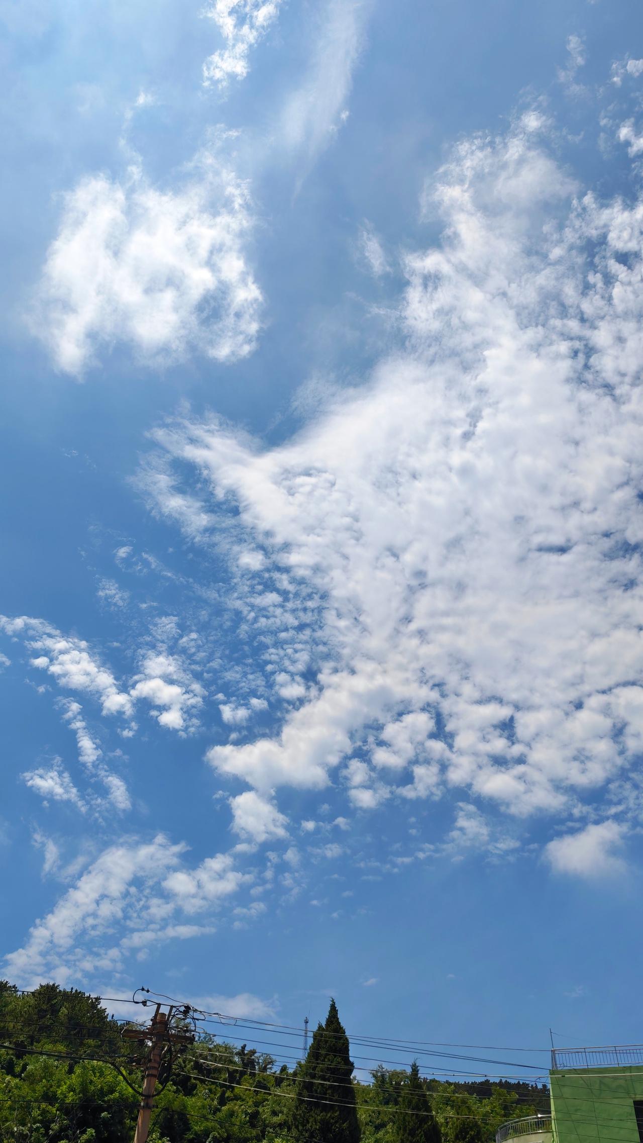 7月8日 半天的周三
🧮总结：学校作业0分钟；家庭学习内容0分钟；课外阅读27