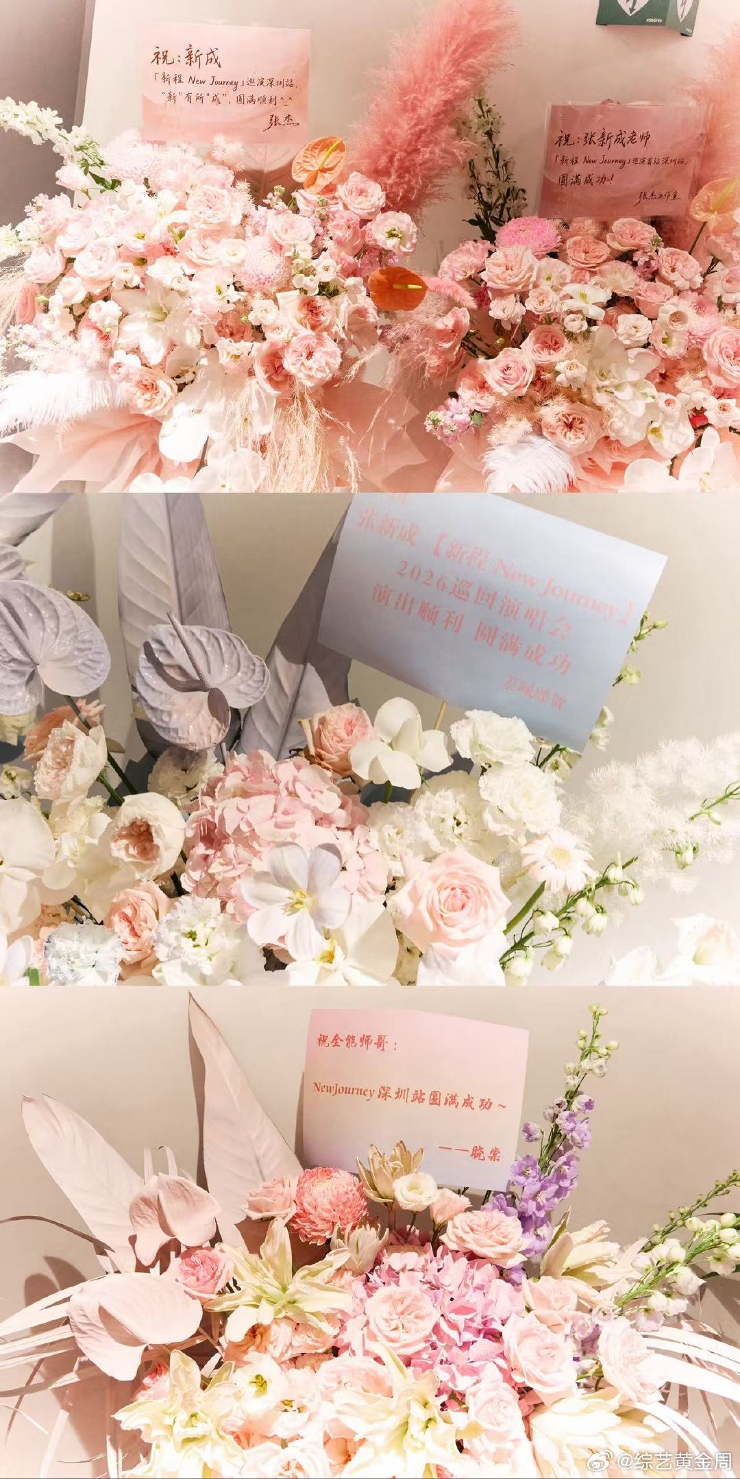 张新成演唱会张新成深圳演唱会新程从不是单一旅途，是张新成与星辰的长久约定，歌声便