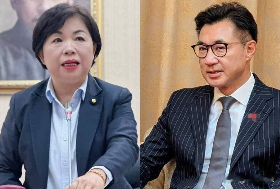 民调54%看着风光！江启臣居然被何欣纯在年轻人里偷了家，20-29岁反超江启臣6