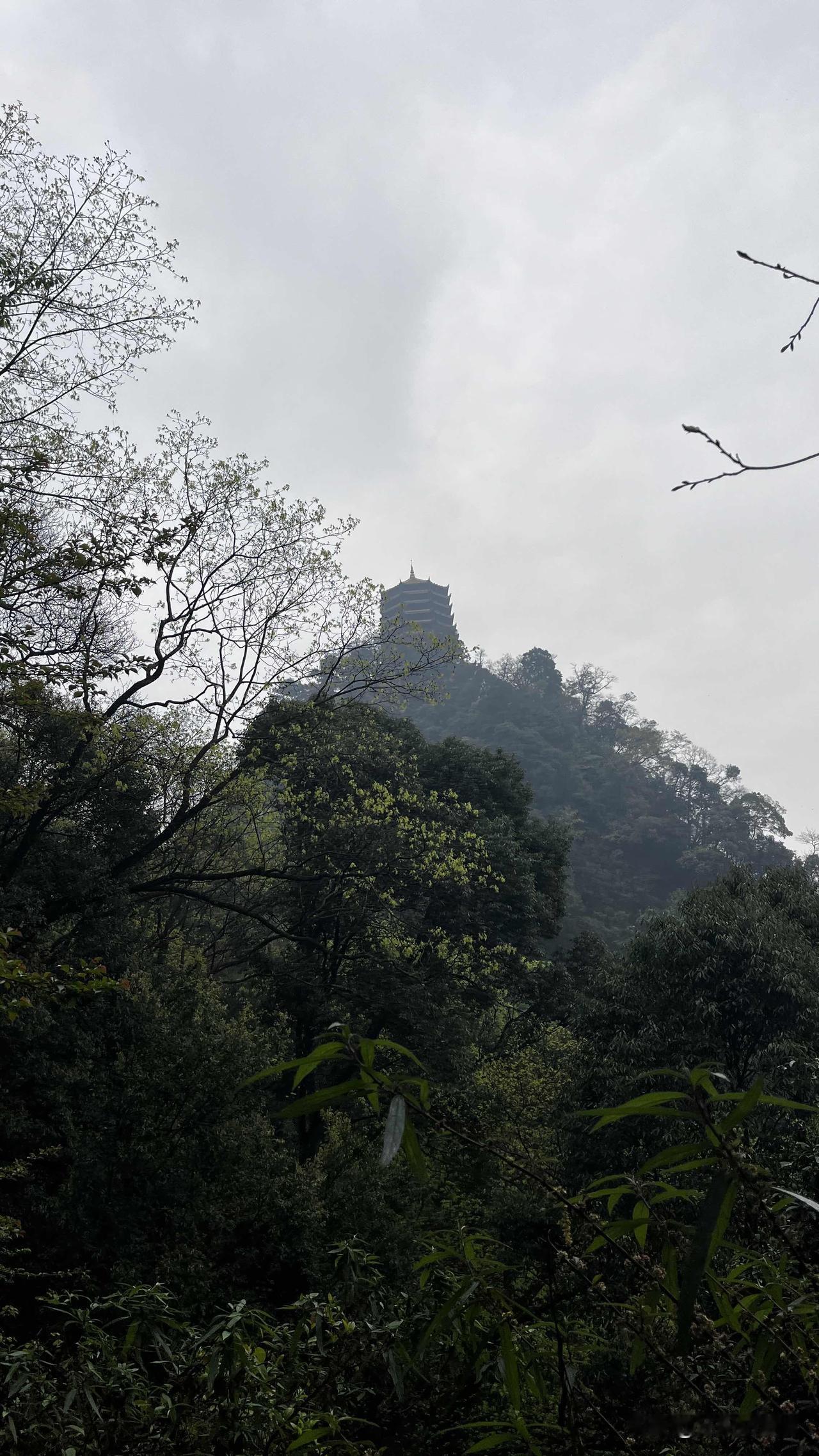 登山算是一件即累人又养眼的运动，未必要如何高效，一路坚持登顶，看沿途的风景，最后
